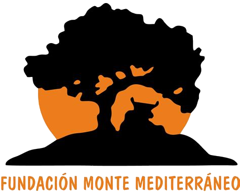 Fundación Monte Mediterráneo