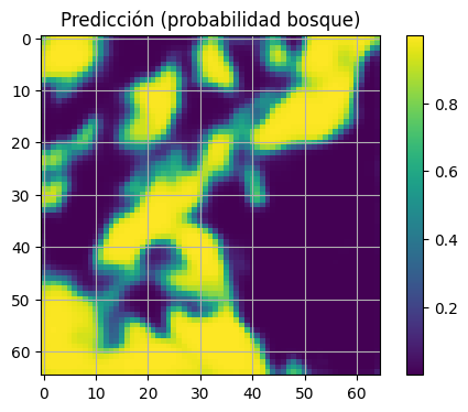 Predicción de cultivos y usos del suelo